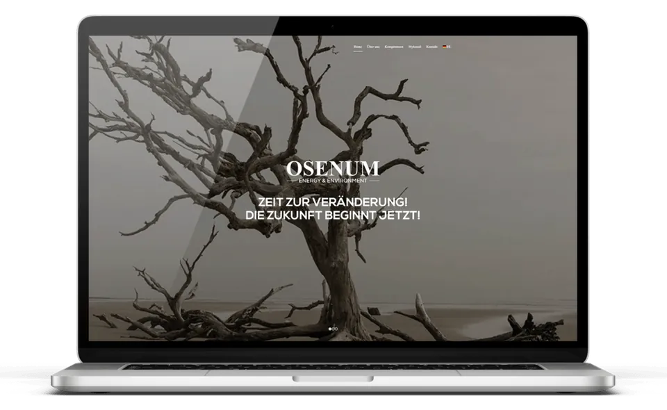 Osenum · Website
